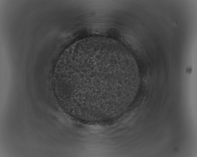 X0000092220817200710051156