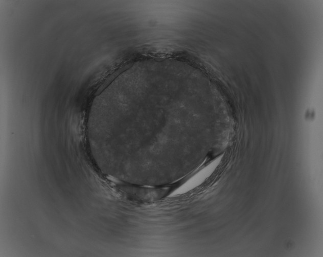 X0000092220818200710051156