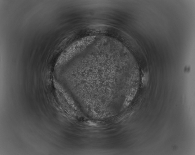 X0000092220819200710051156
