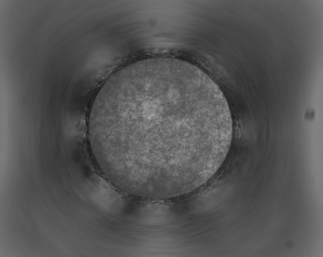 X0000092220820200710051156