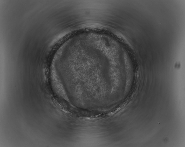 X0000092220822200710051156