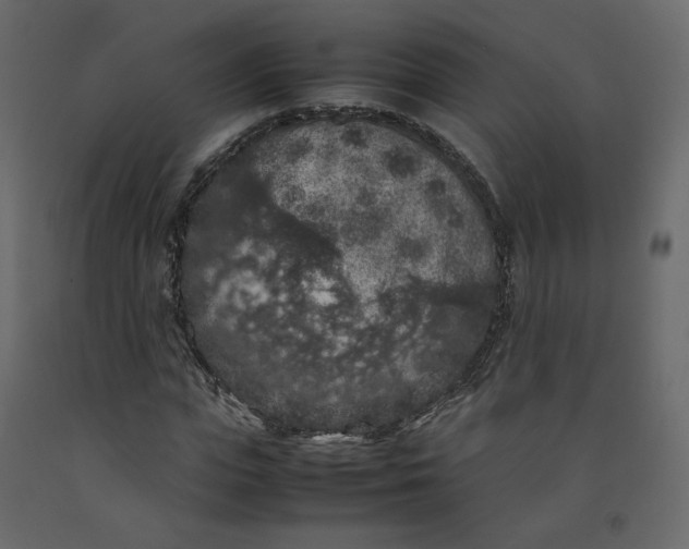 X0000092220823200710051156