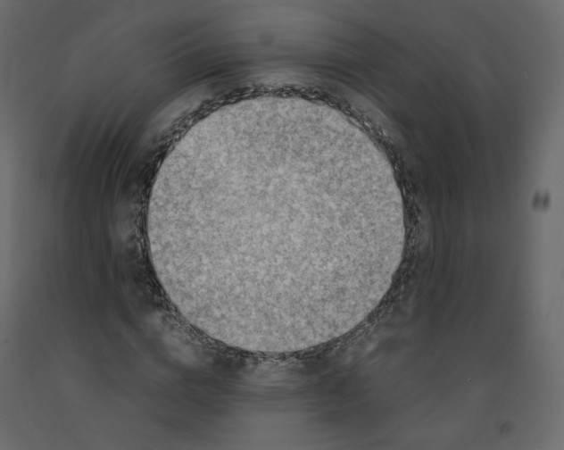 X0000092220824200710051156