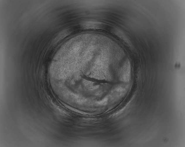 X0000092220825200710051156