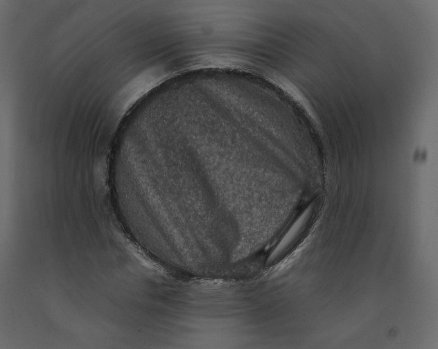 X0000092220826200710051156