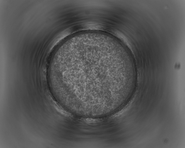 X0000092220827200710051156