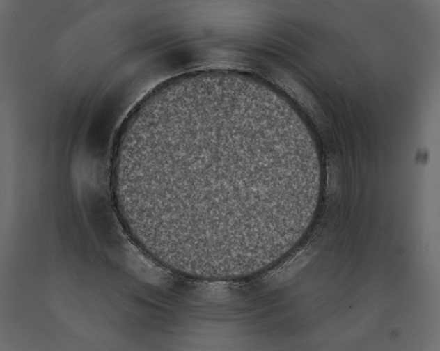 X0000092220828200710051156
