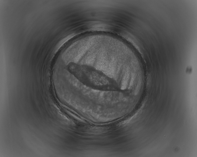 X0000092220829200710051156