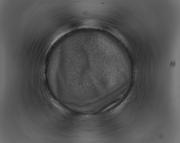 X0000092220830200710051156