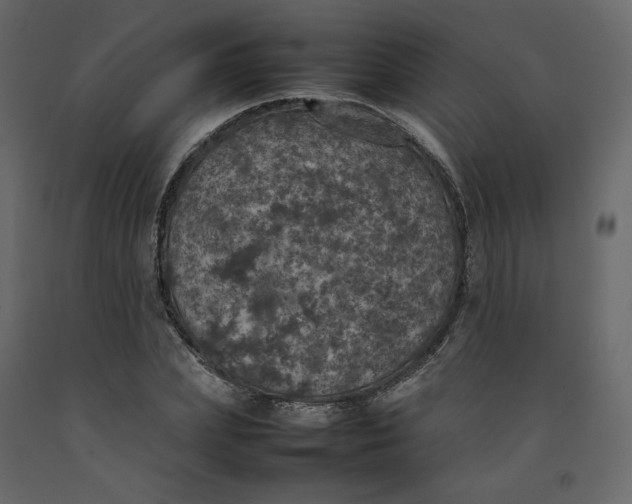 X0000092220831200710051156