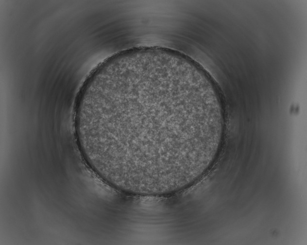 X0000092220832200710051156