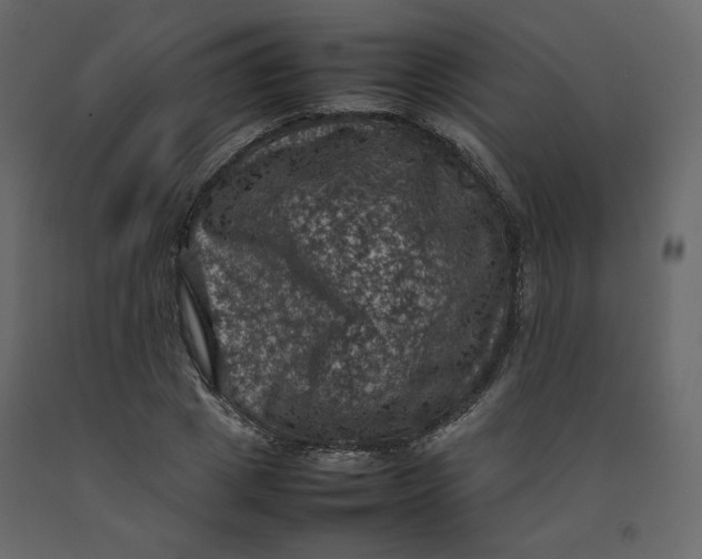 X0000092220833200710051156