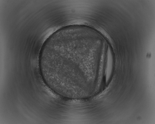 X0000092220834200710051156