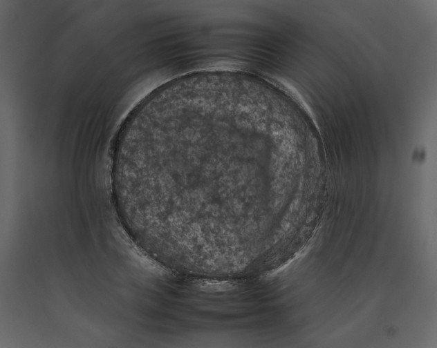 X0000092220835200710051156