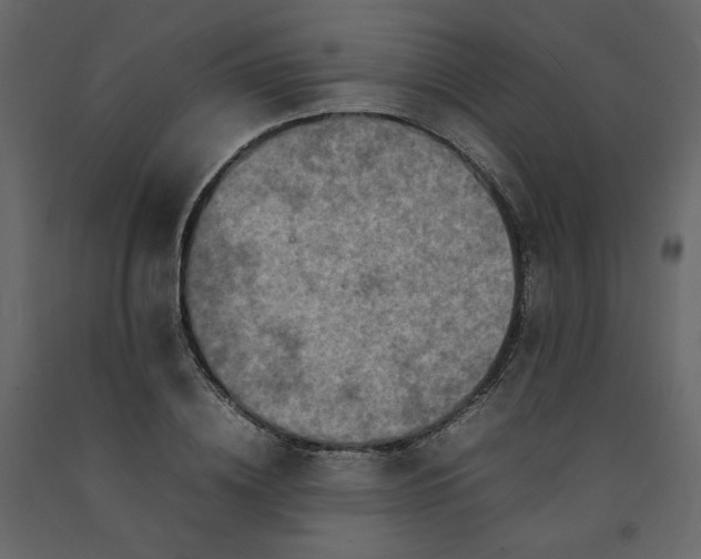 X0000092220836200710051156