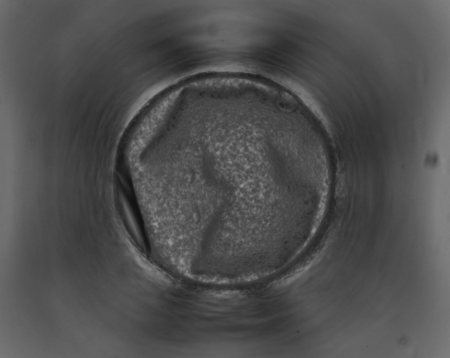 X0000092220837200710051156