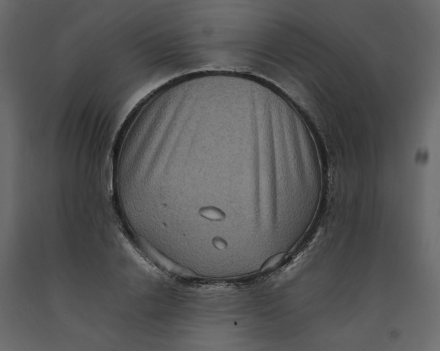 X0000092220838200710051156