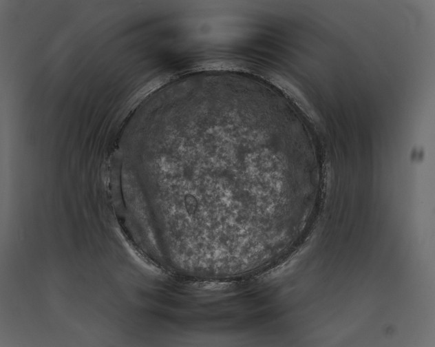 X0000092220841200710051156
