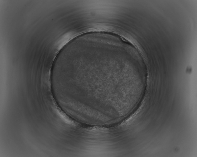 X0000092220842200710051156