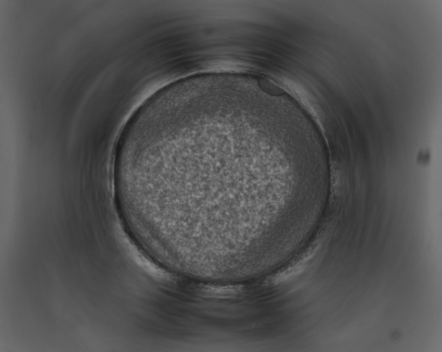 X0000092220843200710051156