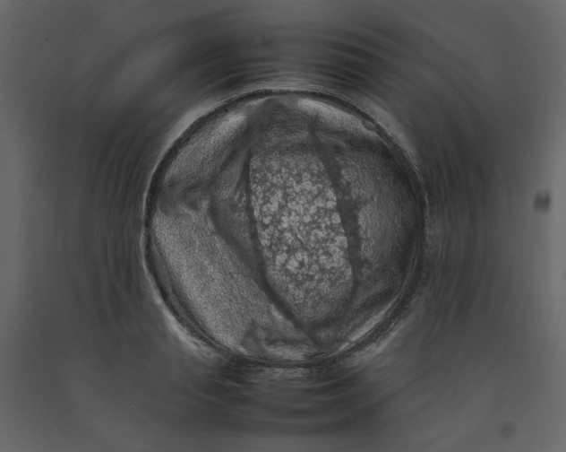 X0000092220845200710051156