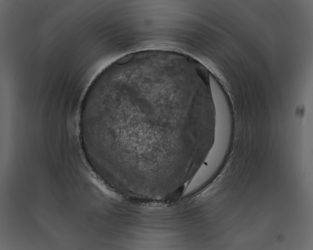 X0000092220846200710051156
