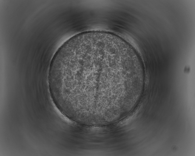 X0000092220847200710051156