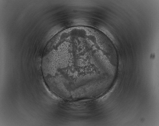 X0000092220849200710051156