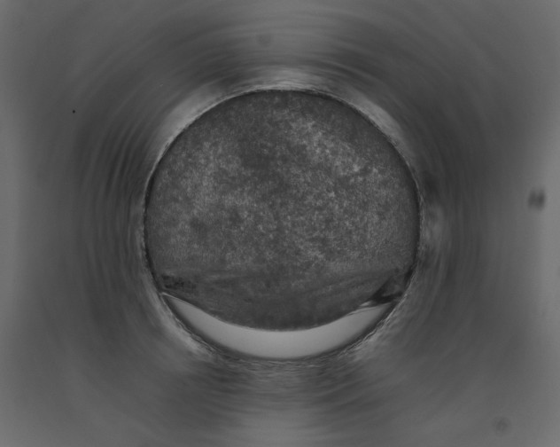 X0000092220850200710051156