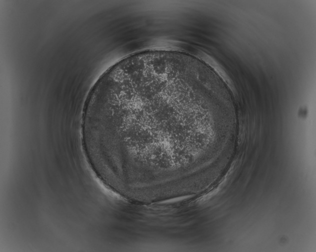 X0000092220853200710051156