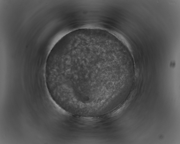 X0000092220855200710051157