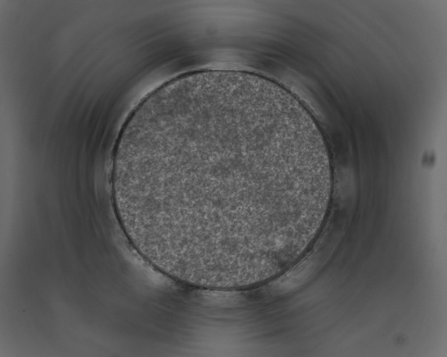 X0000092220856200710051157