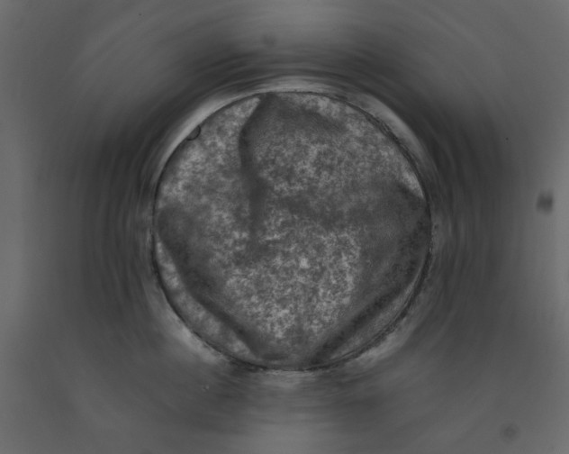 X0000092220860200710051157