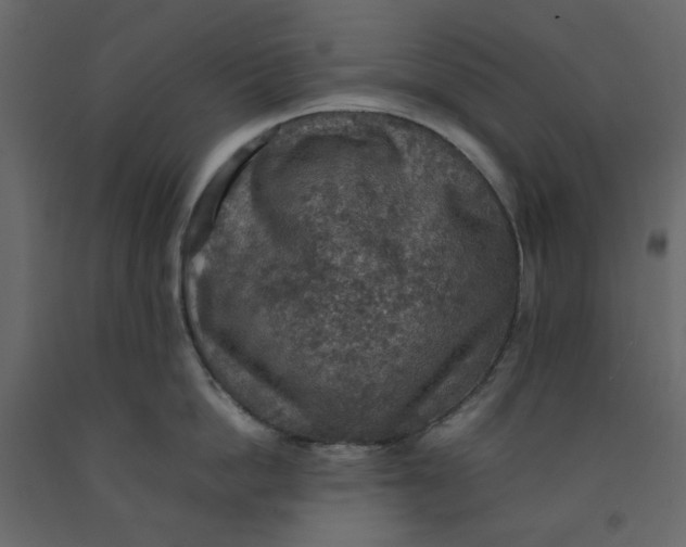 X0000092220862200710051157