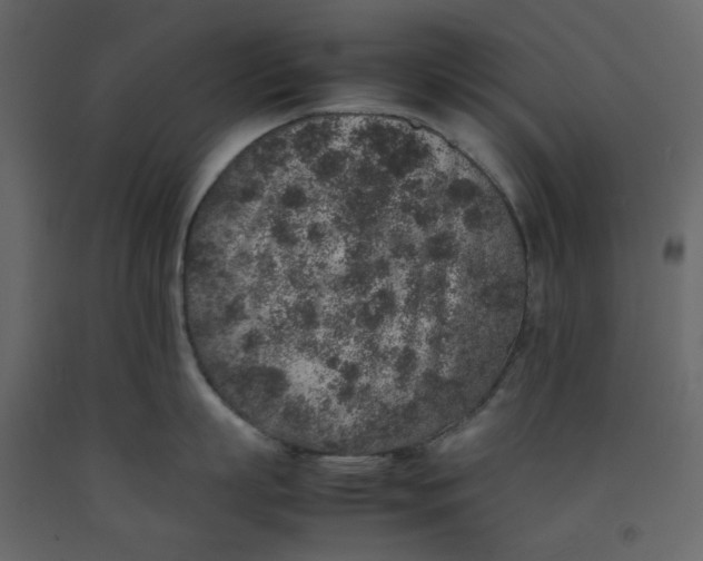 X0000092220863200710051157