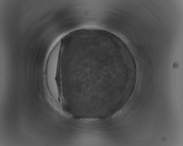 X0000092220864200710051157
