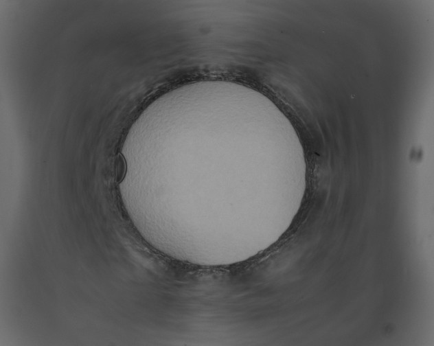 X0000092220865200710051156