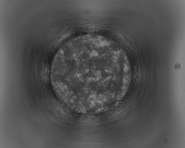 X0000092220866200710051156