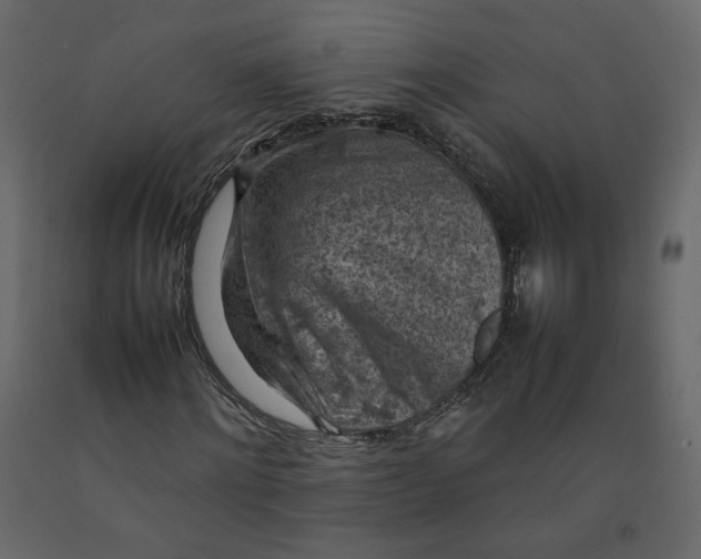 X0000092220868200710051156