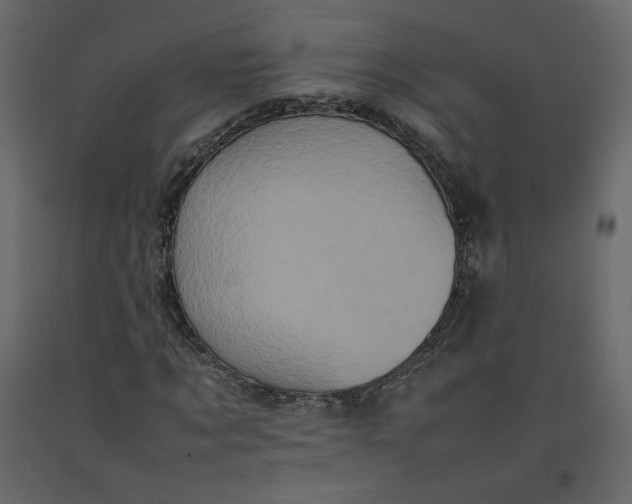 X0000092220869200710051156