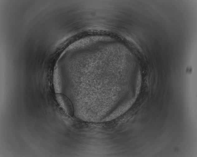 X0000092220870200710051156