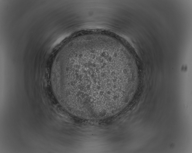 X0000092220871200710051156
