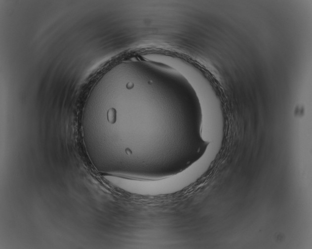 X0000092220872200710051156