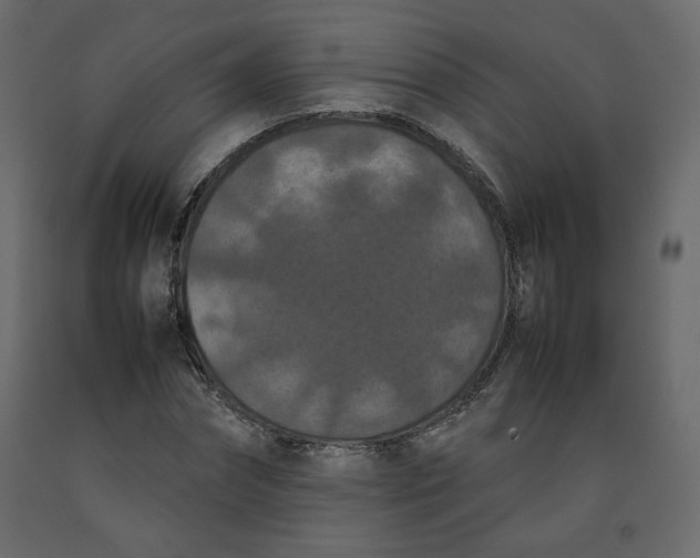X0000092220874200710051156