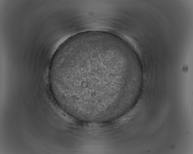 X0000092220875200710051156