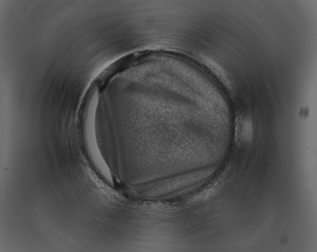 X0000092220876200710051156
