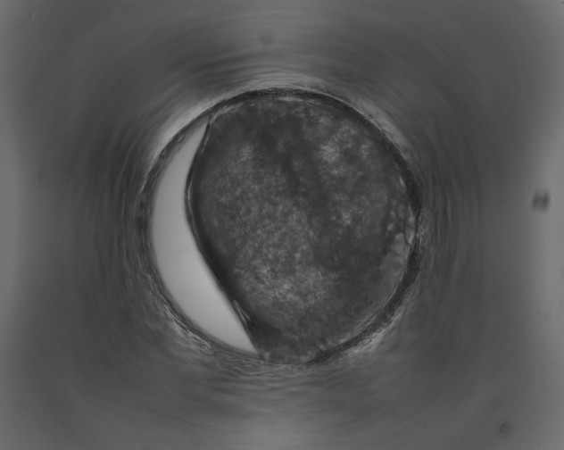 X0000092220877200710051156