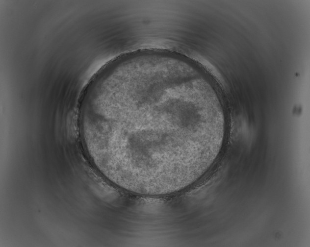 X0000092220878200710051156