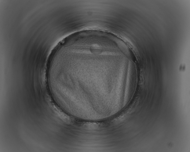 X0000092220880200710051156