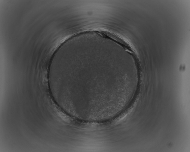 X0000092220881200710051156